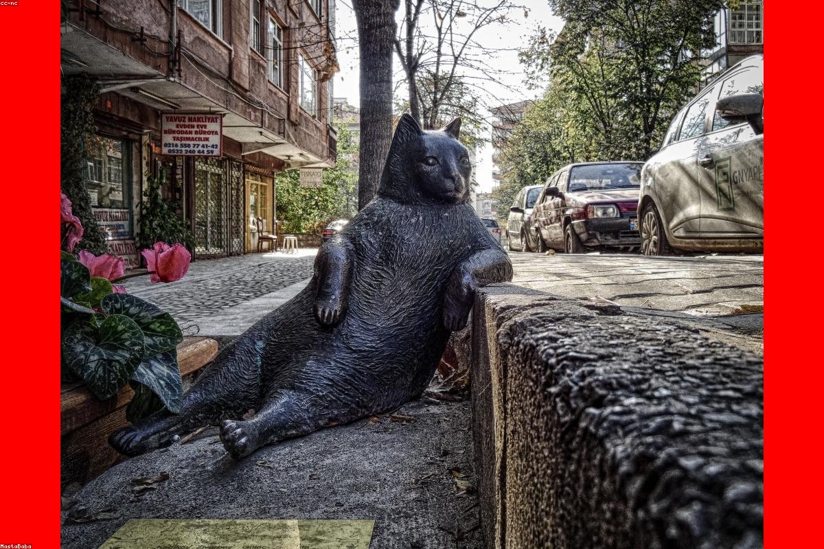 Operations Dashboard (Admin)